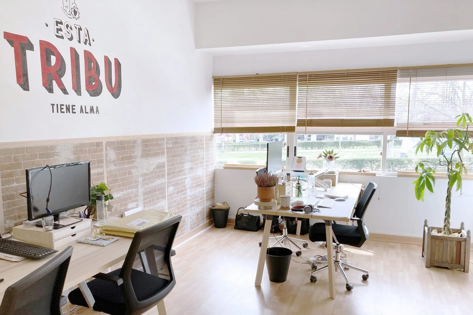 Coworking  13 Manos, Despacho privado con 3 puestos, Las Rozas de Madrid