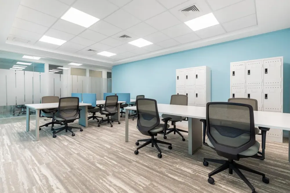 Regus Szeged, Cedrus Offices, Coworking desk, Szeged