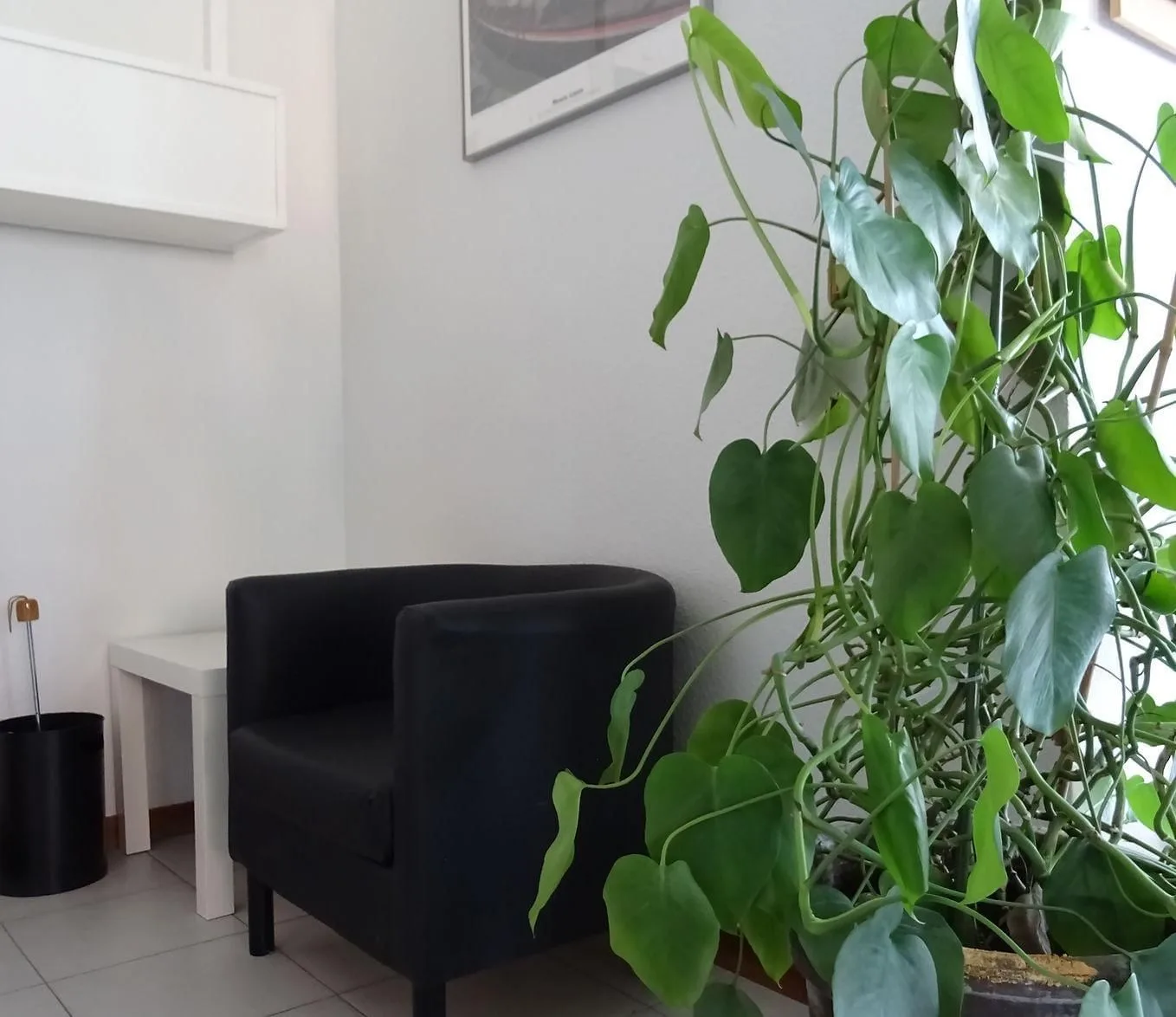 Coworking Foresta 43, Espace détente, Tres Cantos