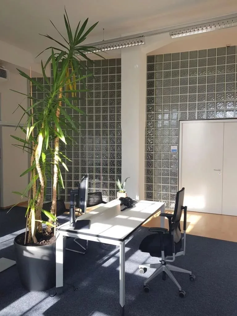 Coworking Konstanz by bizzcenter, Privatbüro mit 2 Arbeitsplätzen, Konstanz