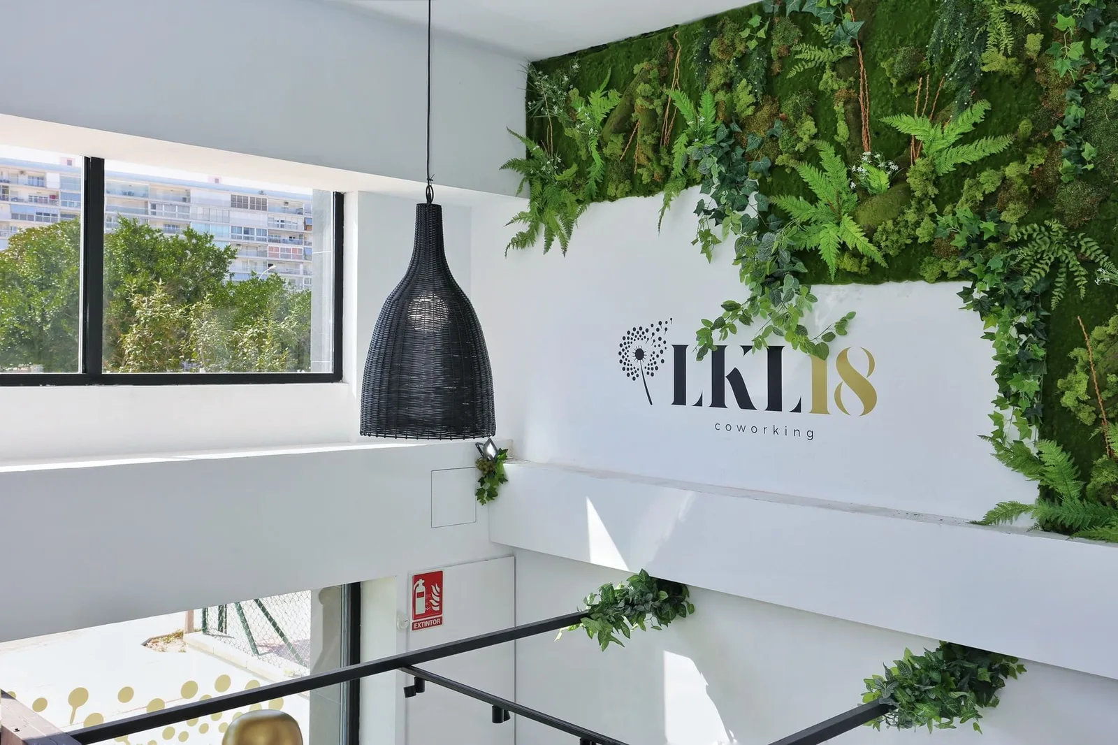 Coworking Lkl18, Receção, Alicante (Alacant)