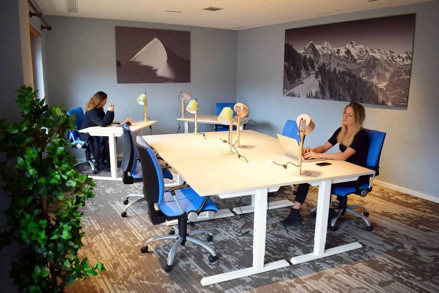 Coworking Space Wengen, Privatbüro mit 8 Arbeitsplätzen, Lauterbrunnen
