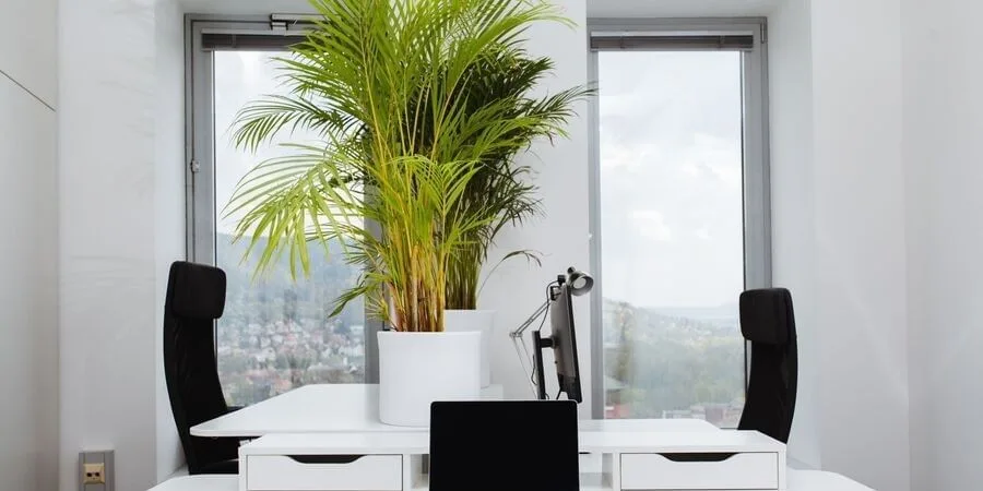 Coworking4You Jena, Private office, 2 desks, Jena