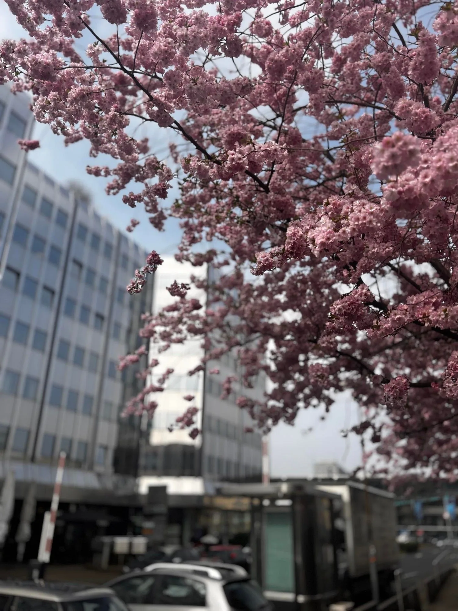 dusBASE, Building facade, Düsseldorf