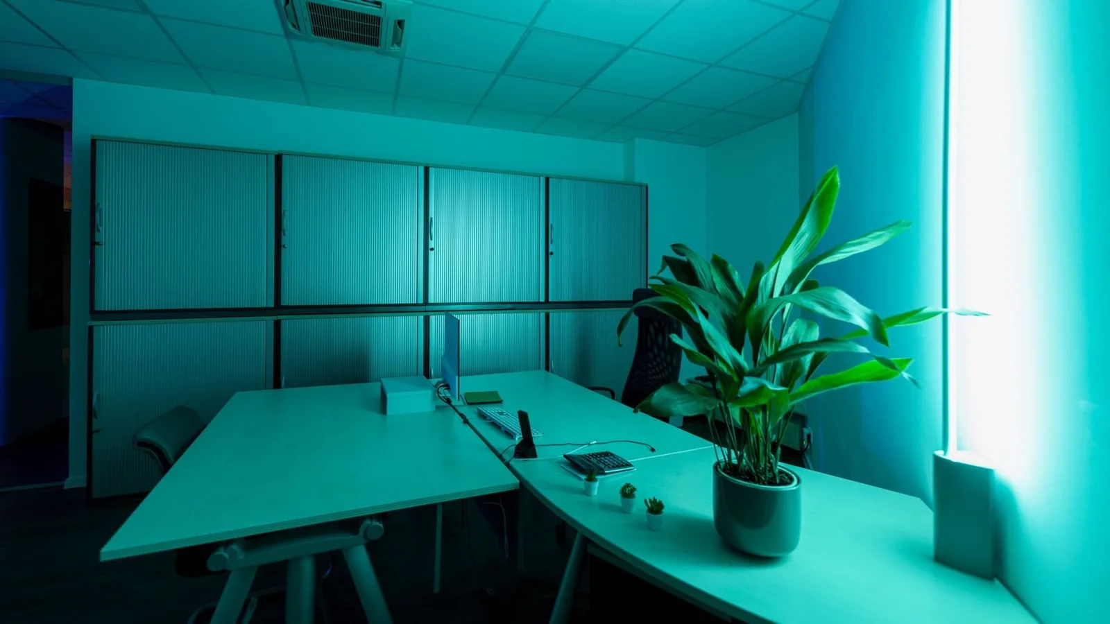 Elephants Club, Private office, 4 desks, Düsseldorf
