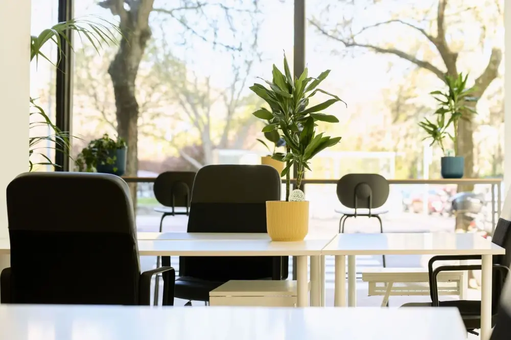Miso Coworking Calle Julián Arteaga 9, Espacio abierto 5 dias al mes, Pamplona