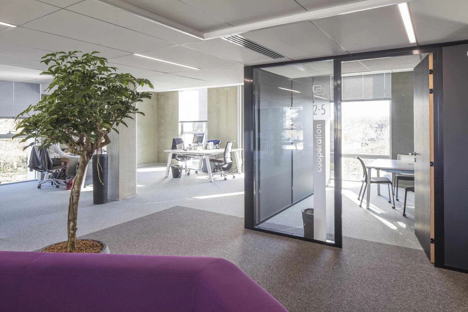 Ethics Village, Salle de réunion 4 personnes, Blagnac