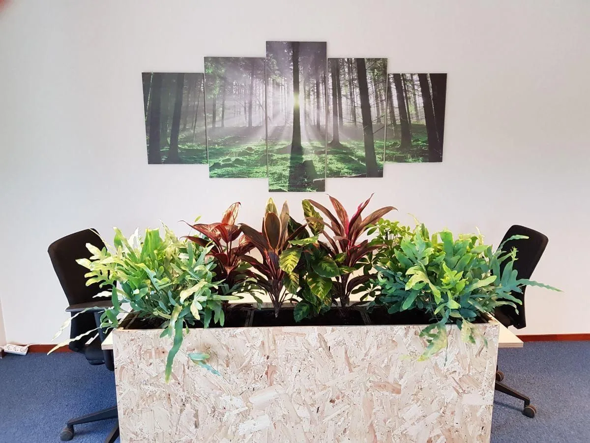 Flexlokaal, Private office, 2 desks, Sneek