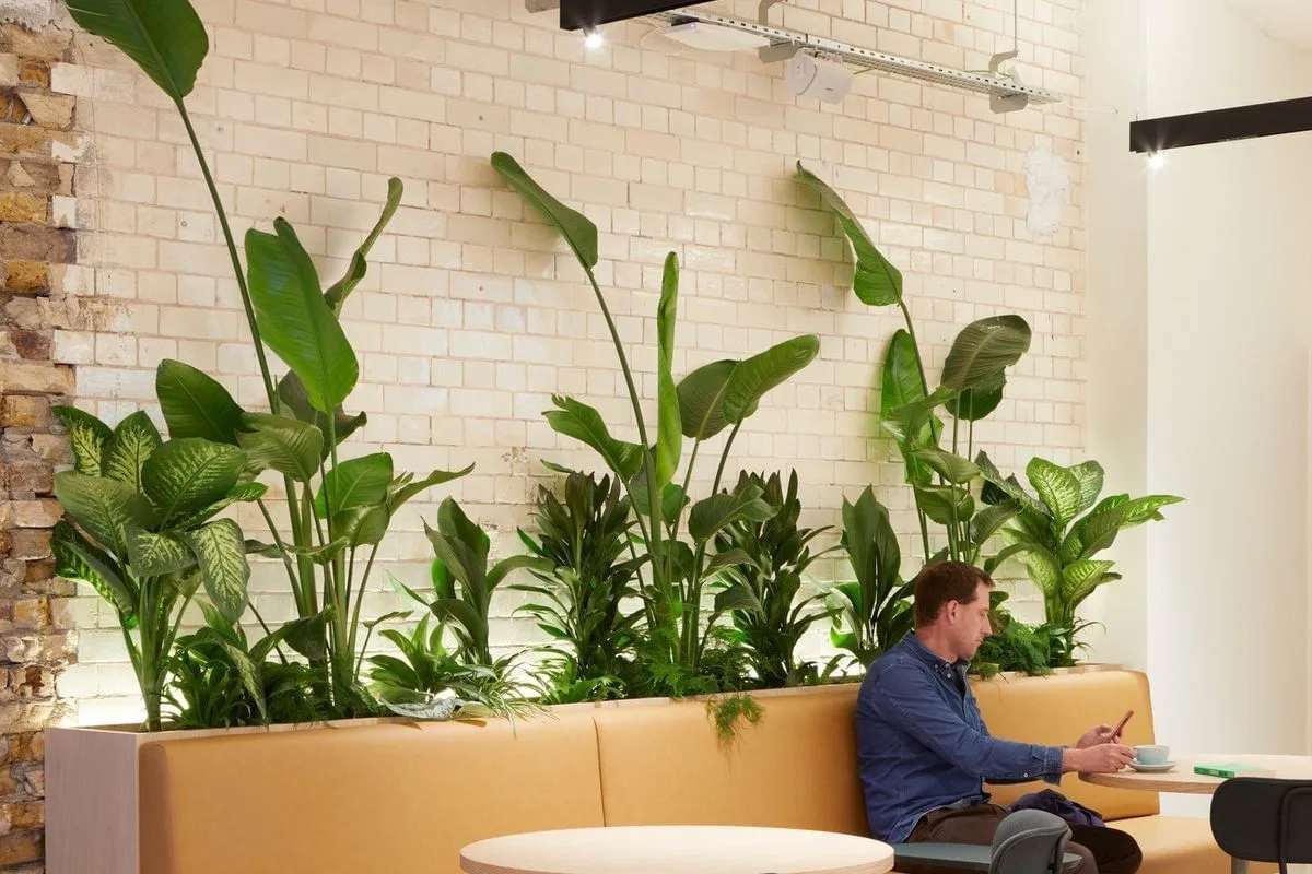 Fora - Greencoat Place, Lounge, London