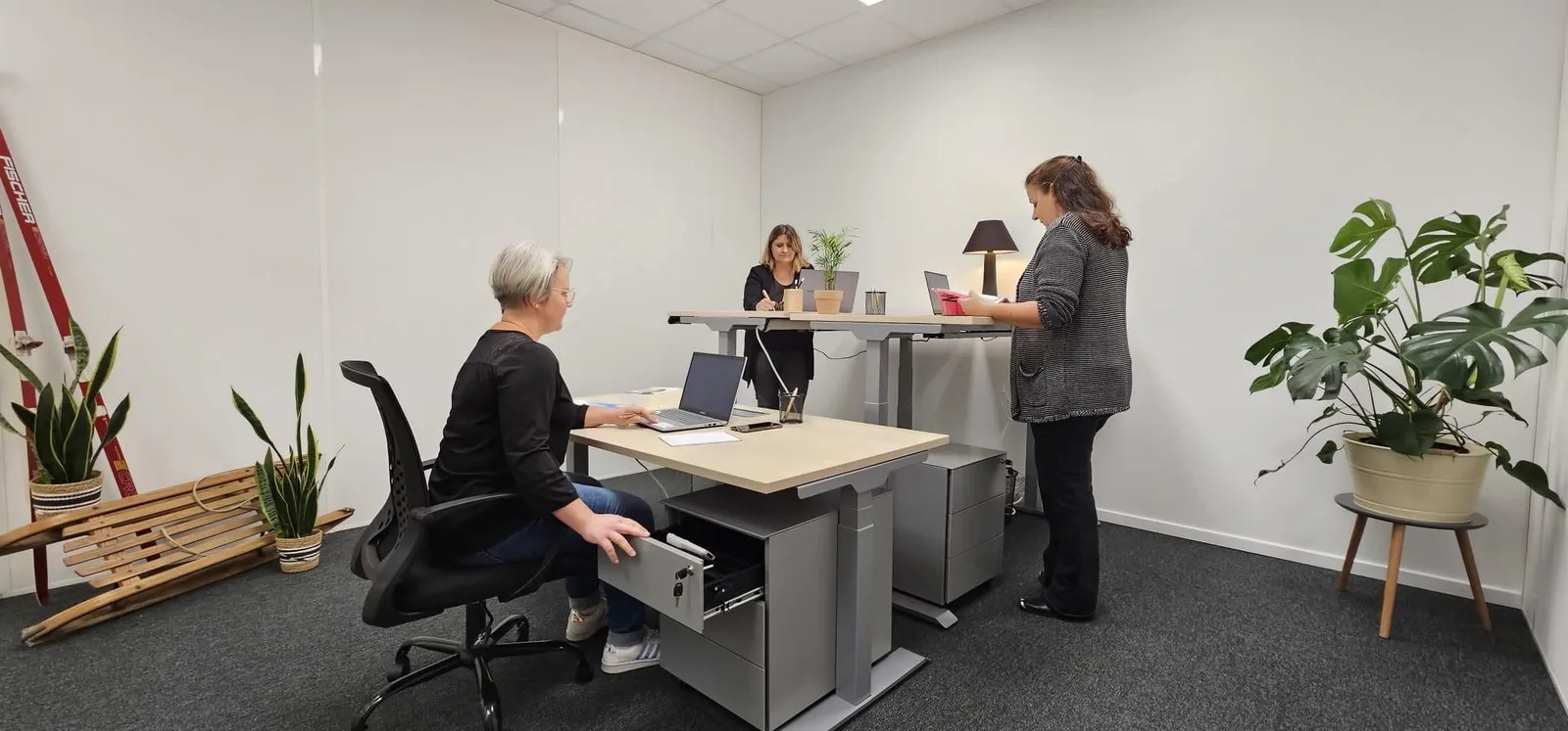 Green Space Hoerdt, Bureau privatif 3 postes, Hœrdt