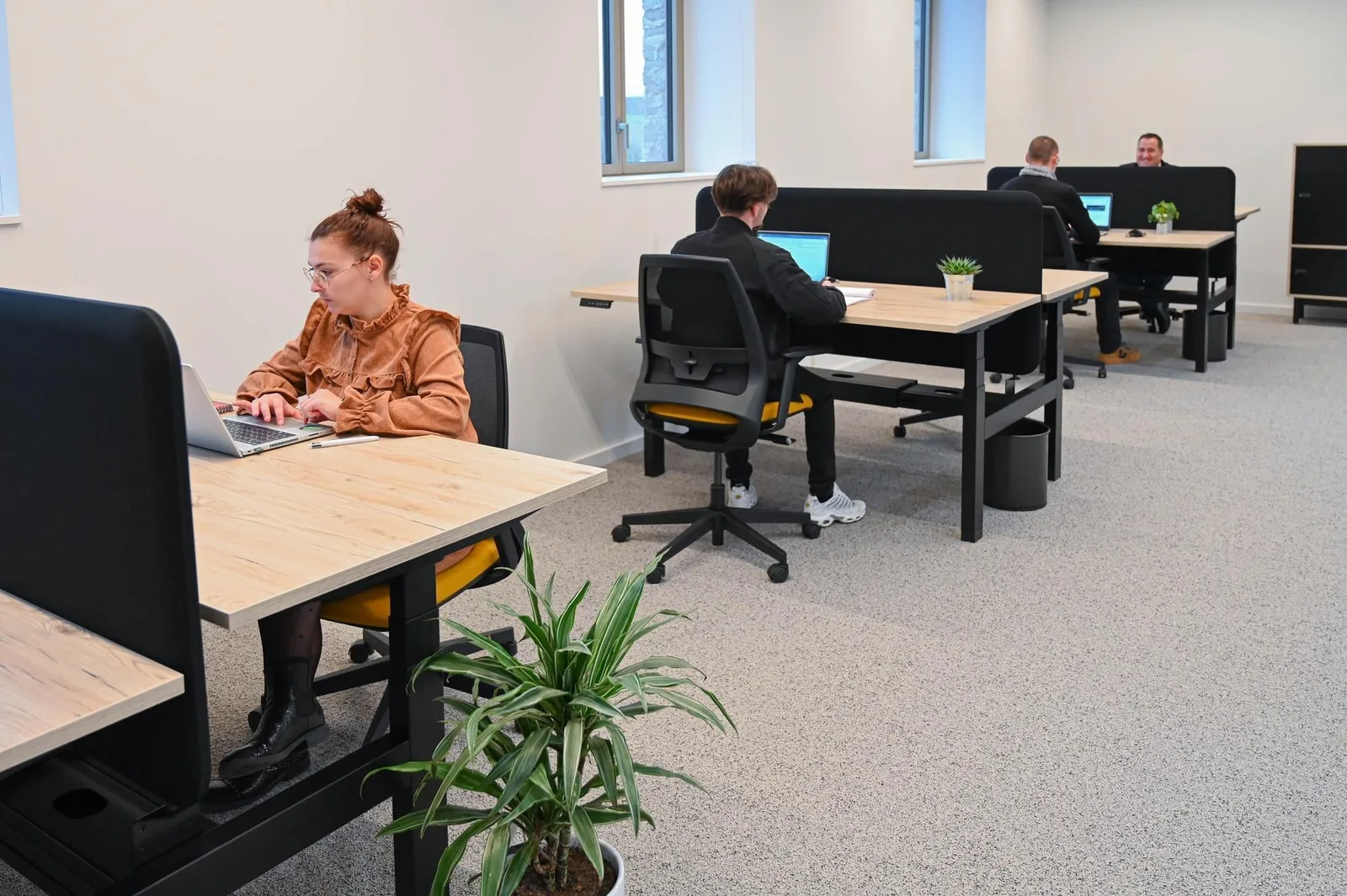 Hélice Galerie, Open-plan office, Flin
