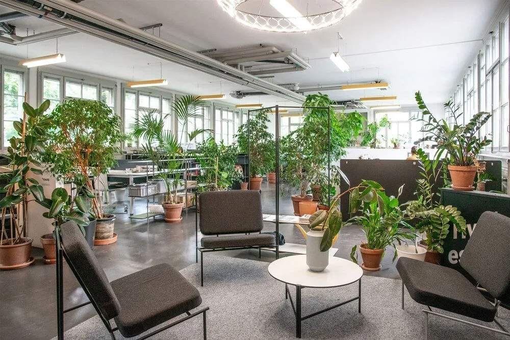 Hyperespace, Espace détente, Renens