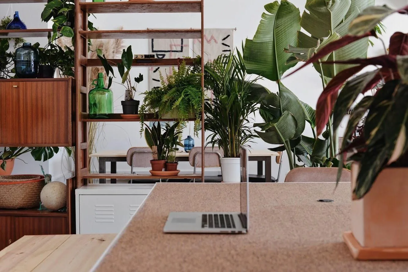 Kelp Coworking Space Ericeira, Espacio de coworking, Ericeira