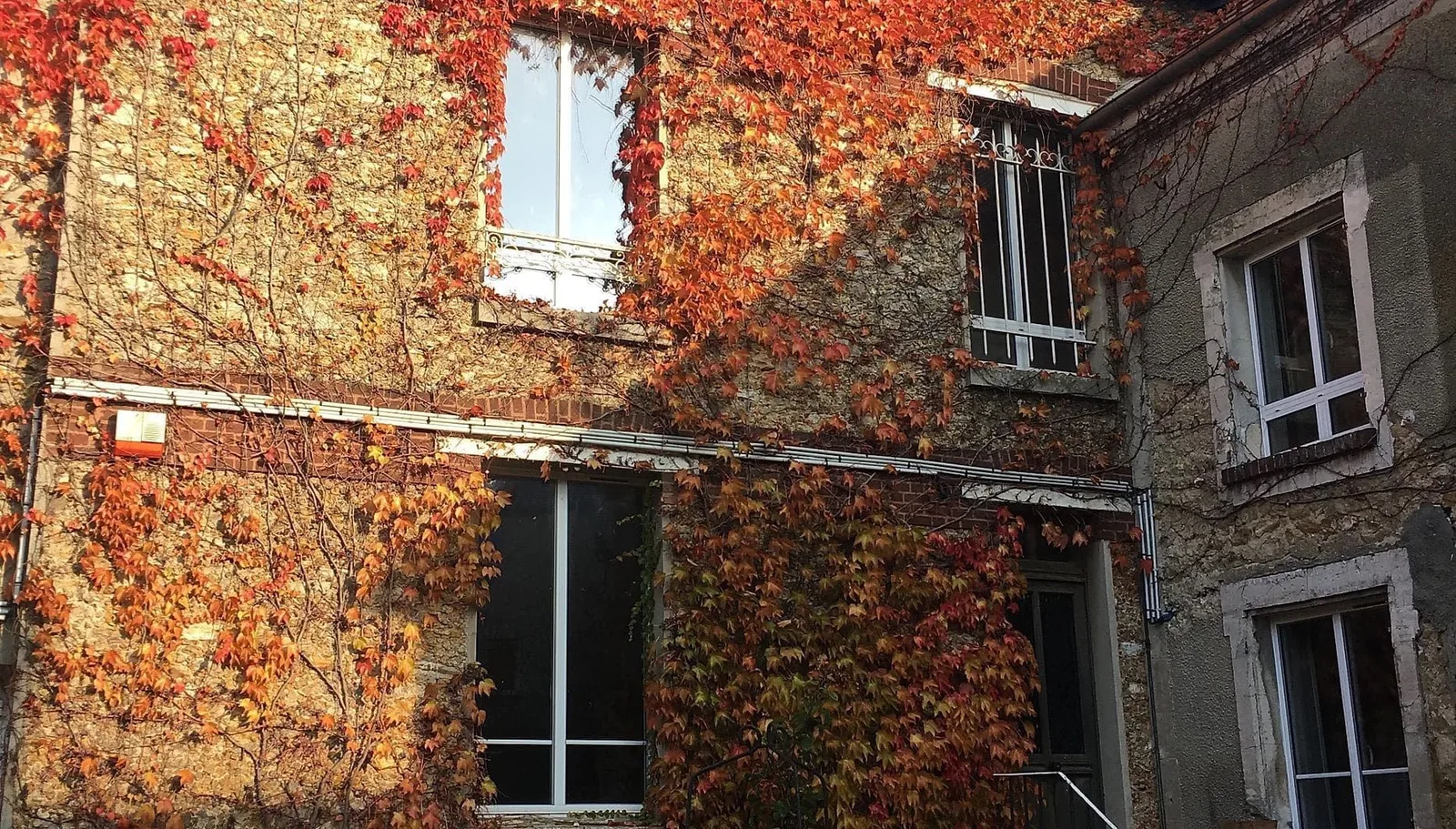 Koala Café, Façade, Courdimanche