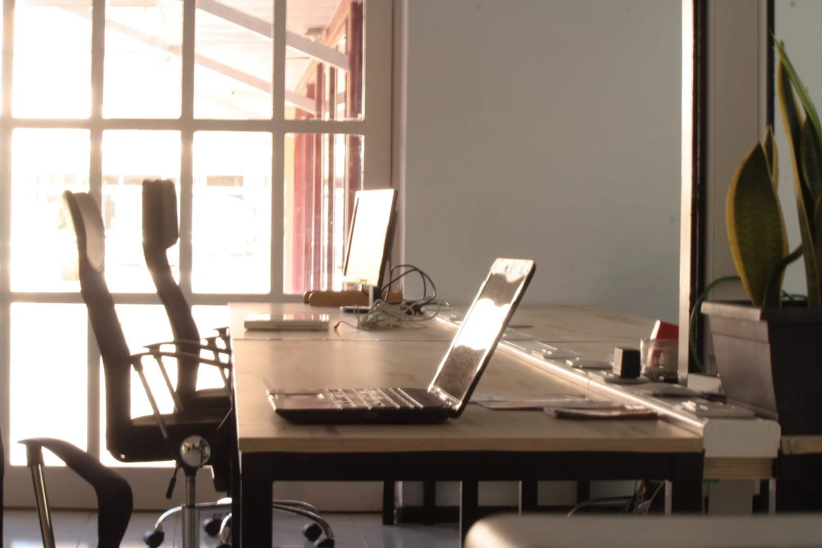 LifeCowork Maspalomas, Open-plan office, Maspalomas