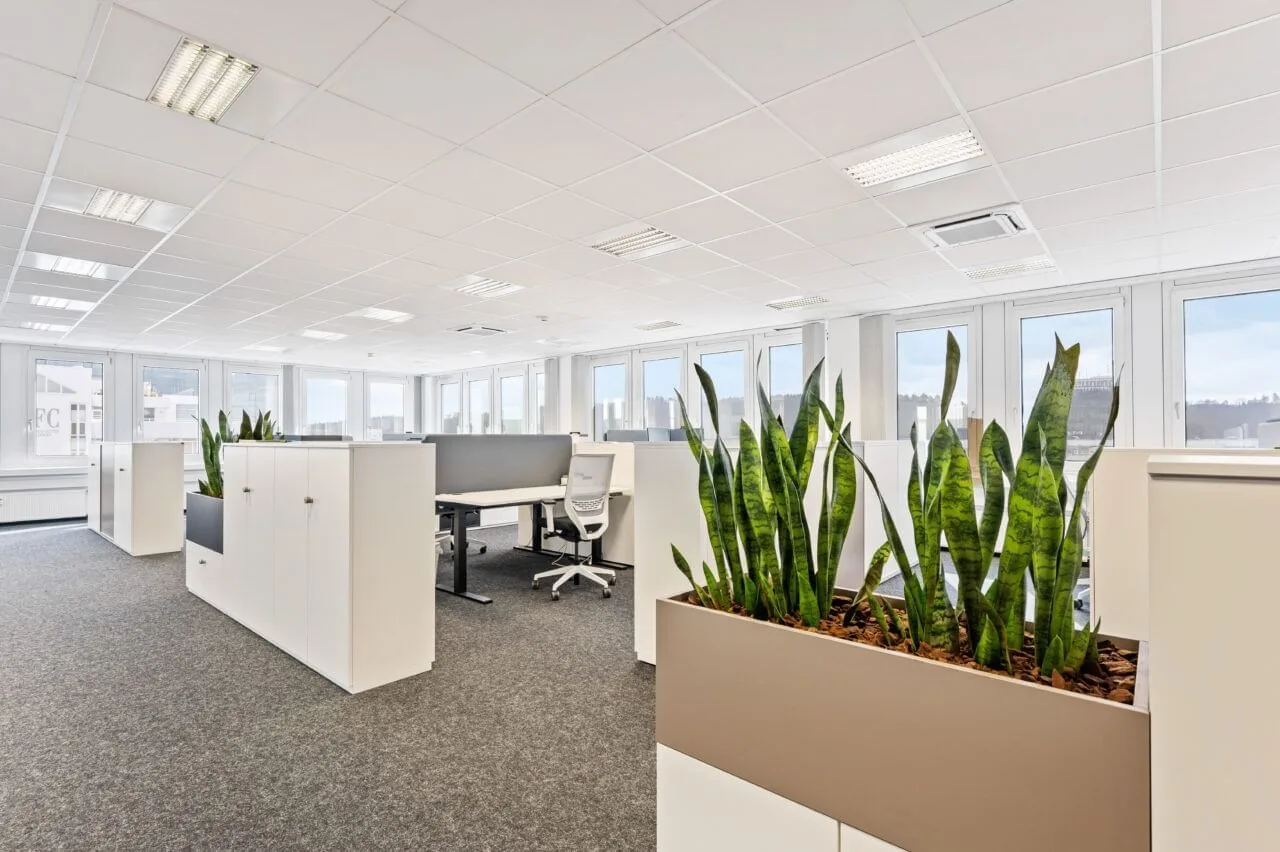 LOFTS Sindelfingen, Großraumbüro, Sindelfingen