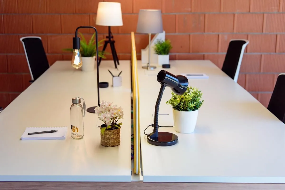 Lt51 Workspace, Open-plan office, A Telva