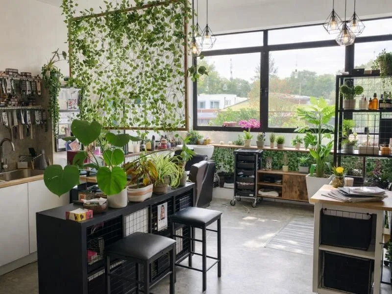 Mainyard Studios - Wimbledon, Cuisine, Mitcham