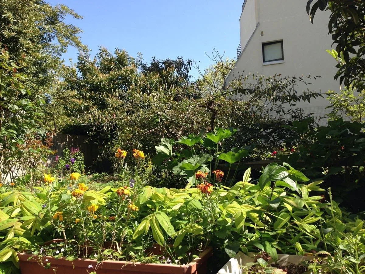 E-Malaya, Terrasse et espace extérieur, Paris 14e