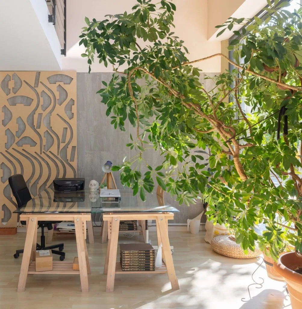Maui, Private office, 1 desk, Barcelona