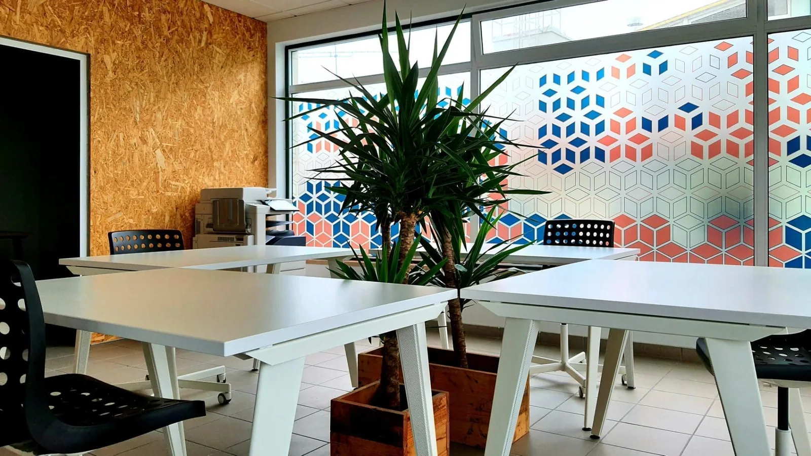 MgWorking, Espaço aberto, Marinha Grande
