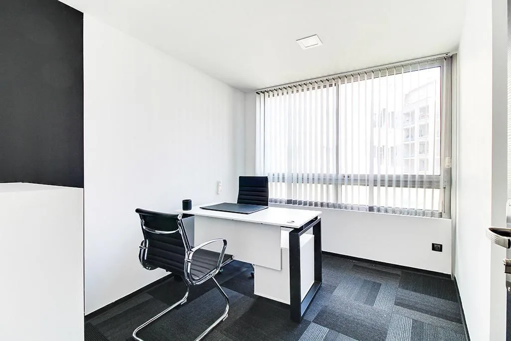 MHM Immobilier, Private office, 1 desk, Lyon 7e