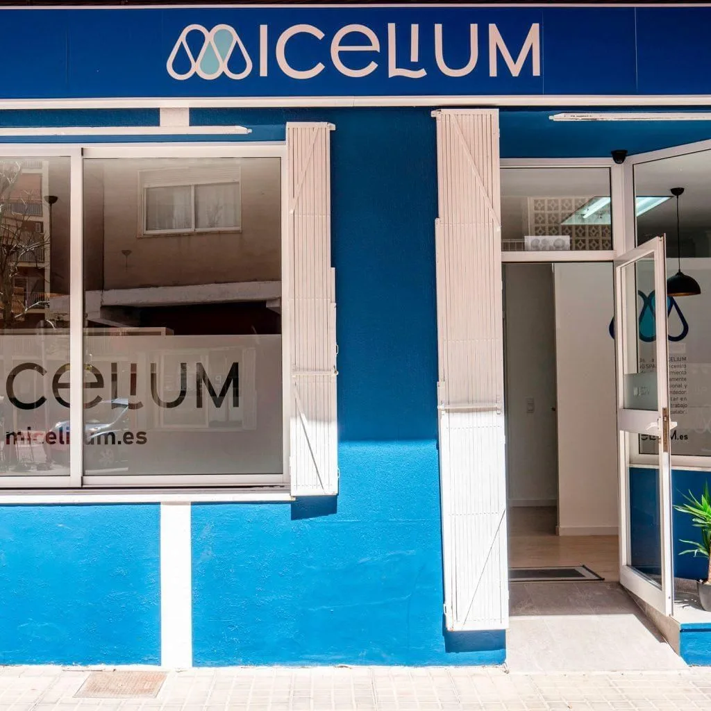 Micelium, Fachada del edificio, Dénia