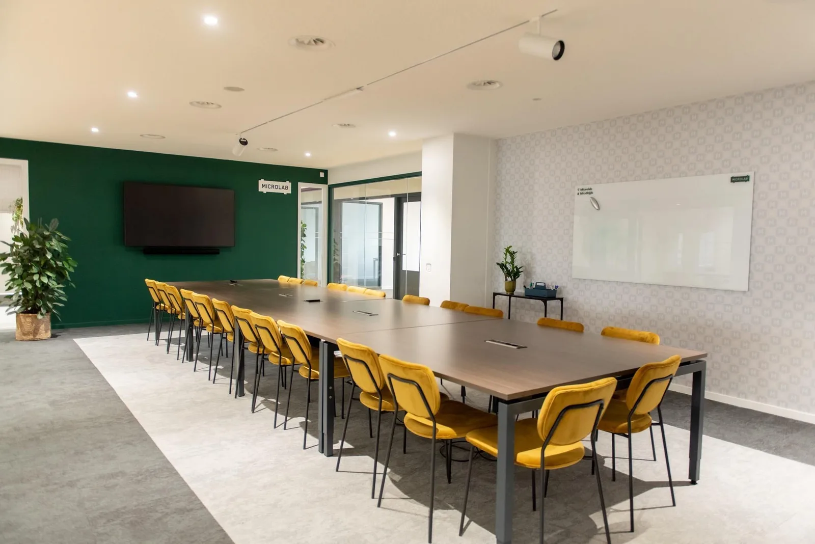Microlab Eindhoven Strijp-S, Meeting room for 20 people, Eindhoven