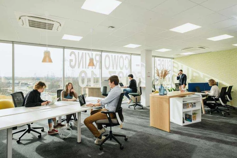 Mitwit Marcq-en-Barœul, Open-plan office, Marcq-en-Barœul