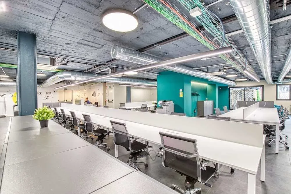 Moasis Cowork, Espacio diáfano, Palma