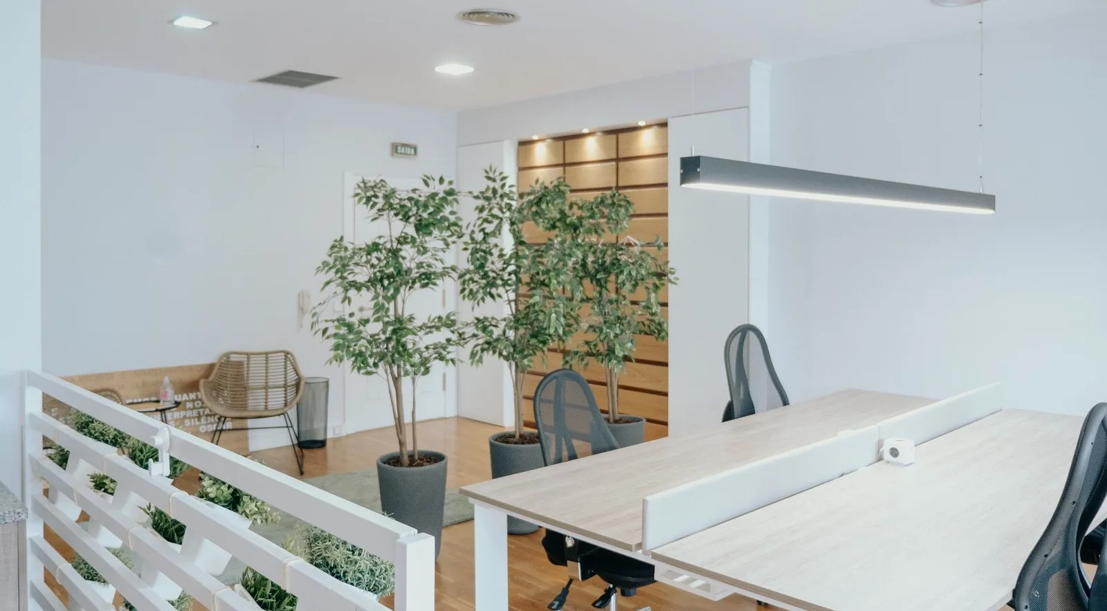 My Desk Coworking Solutions, Open space, Maia