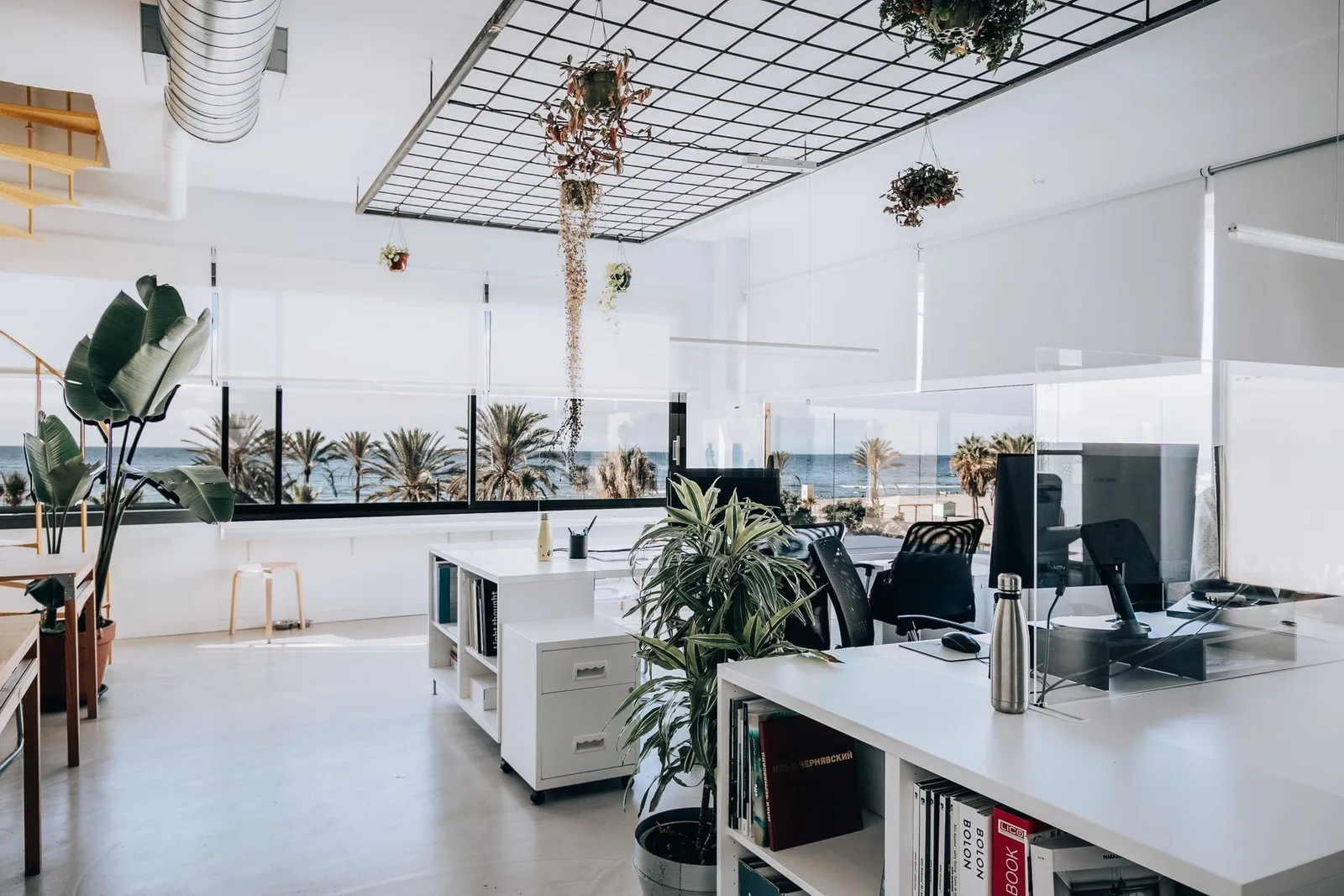La Nave 10, Open-plan office, Marbella