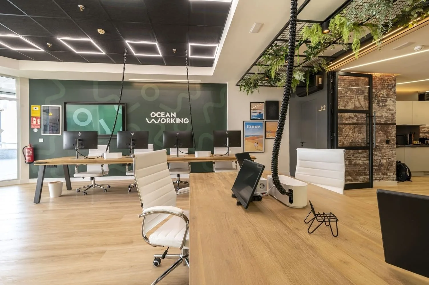 Oceanworking Coworking Meloneras, Espacio diáfano, Maspalomas