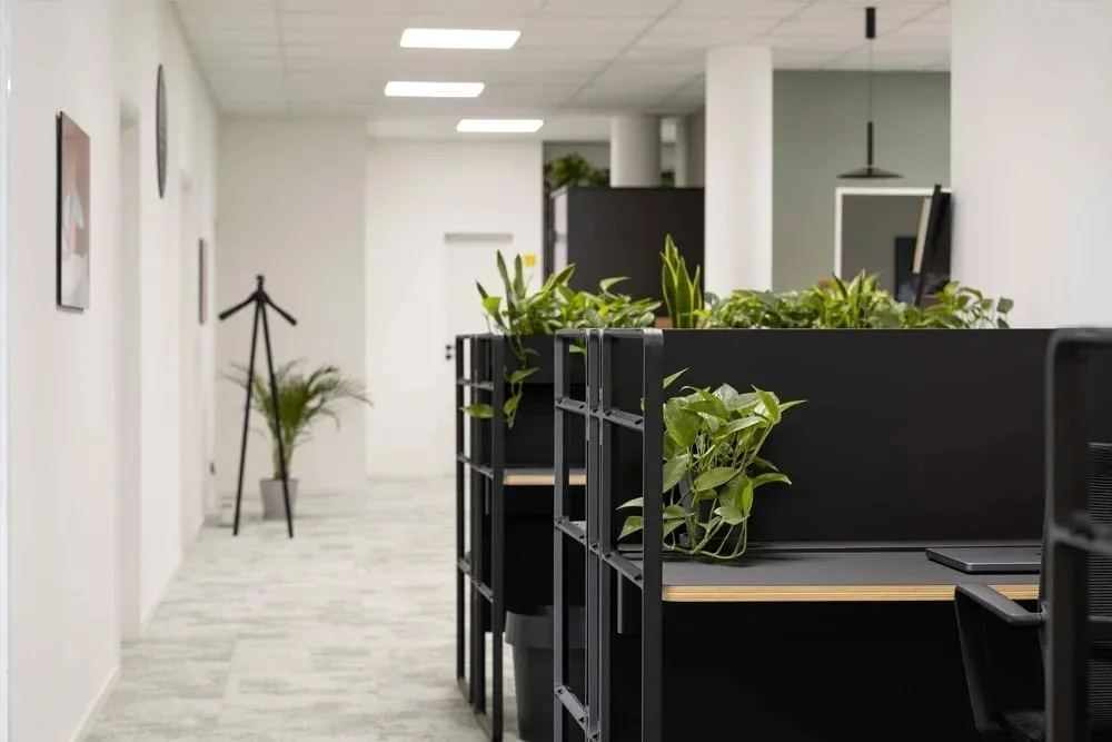 Office Club Hannover an der Oper, Open-plan office, Hanover