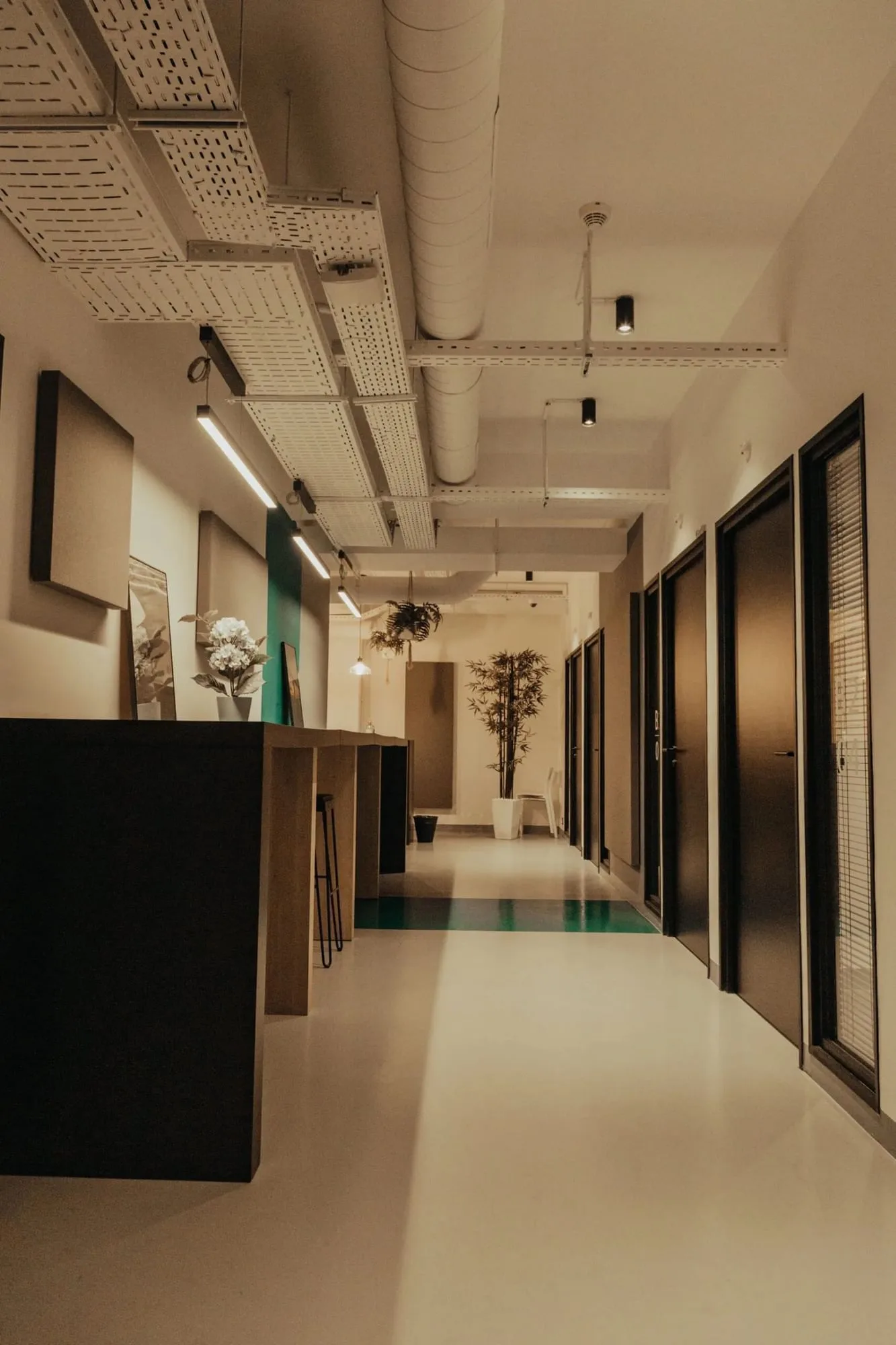 The Office , Monaco, photo 5