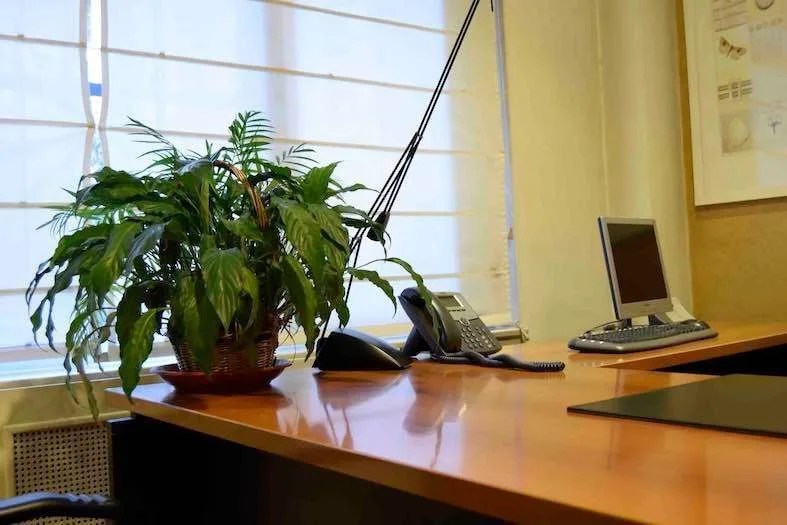 Oficinas Ya Velazquez, Escritório privativo com 1 posto, Madrid