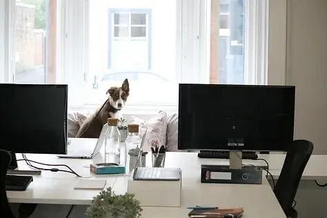 Ottoline Commercial - Citadel House, Bureau privatif 2 postes, Ayr