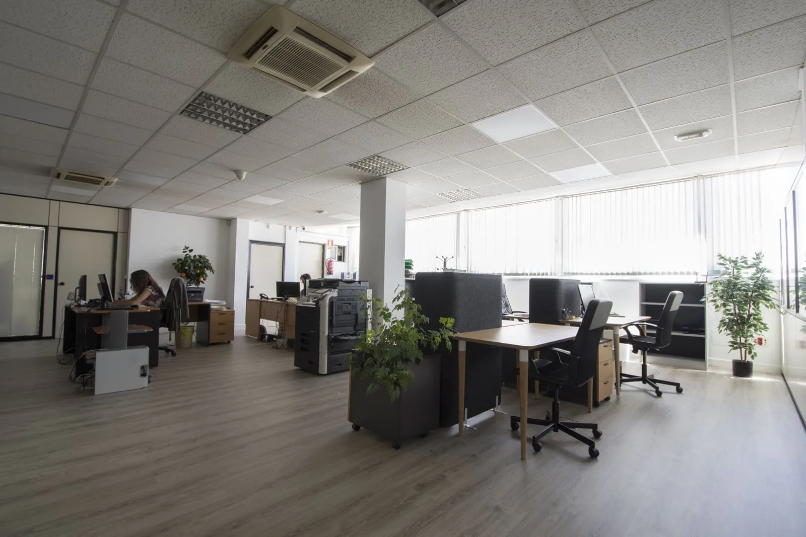Ovislandia, Open space, Madrid