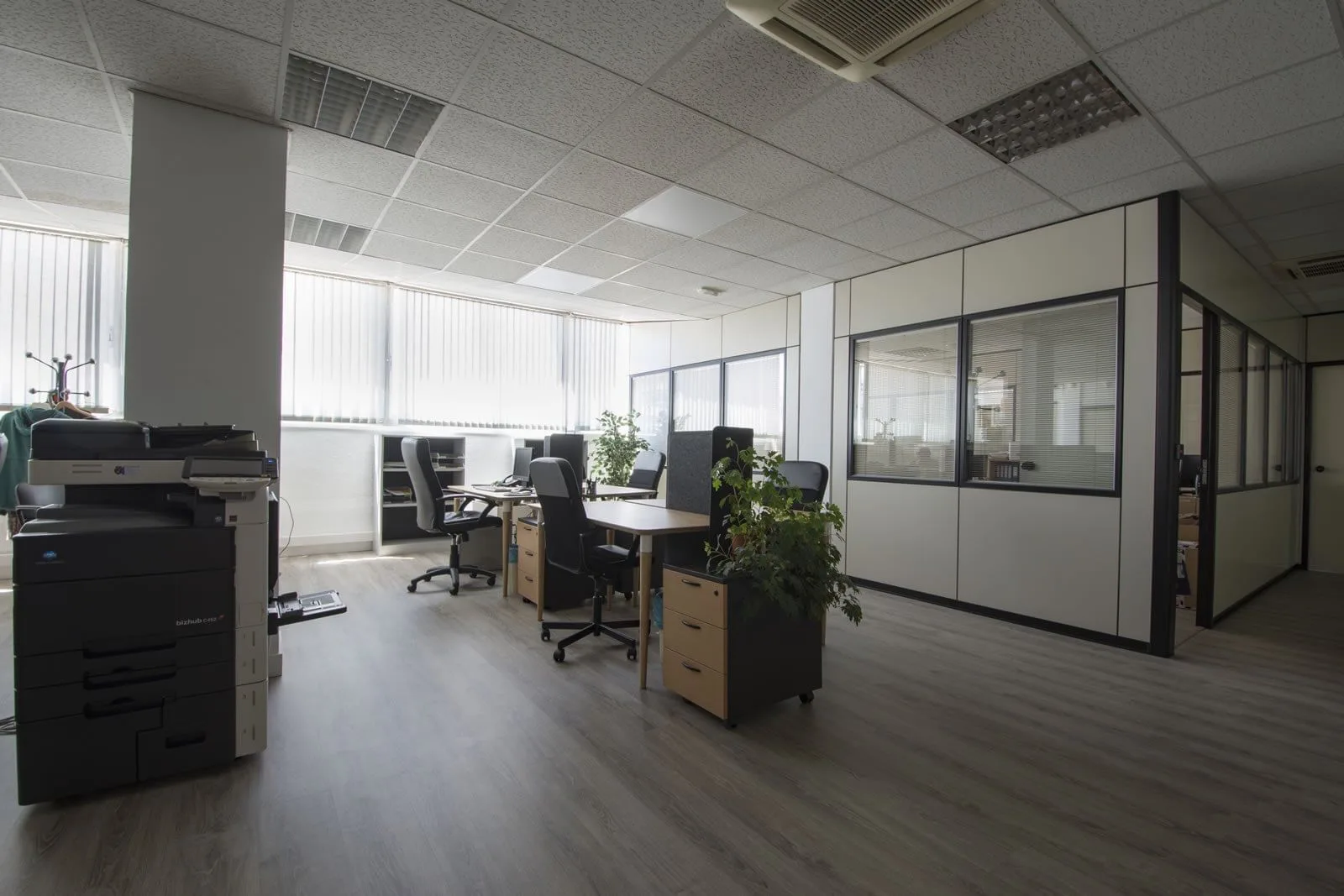 Ovislandia, Open space, Madrid