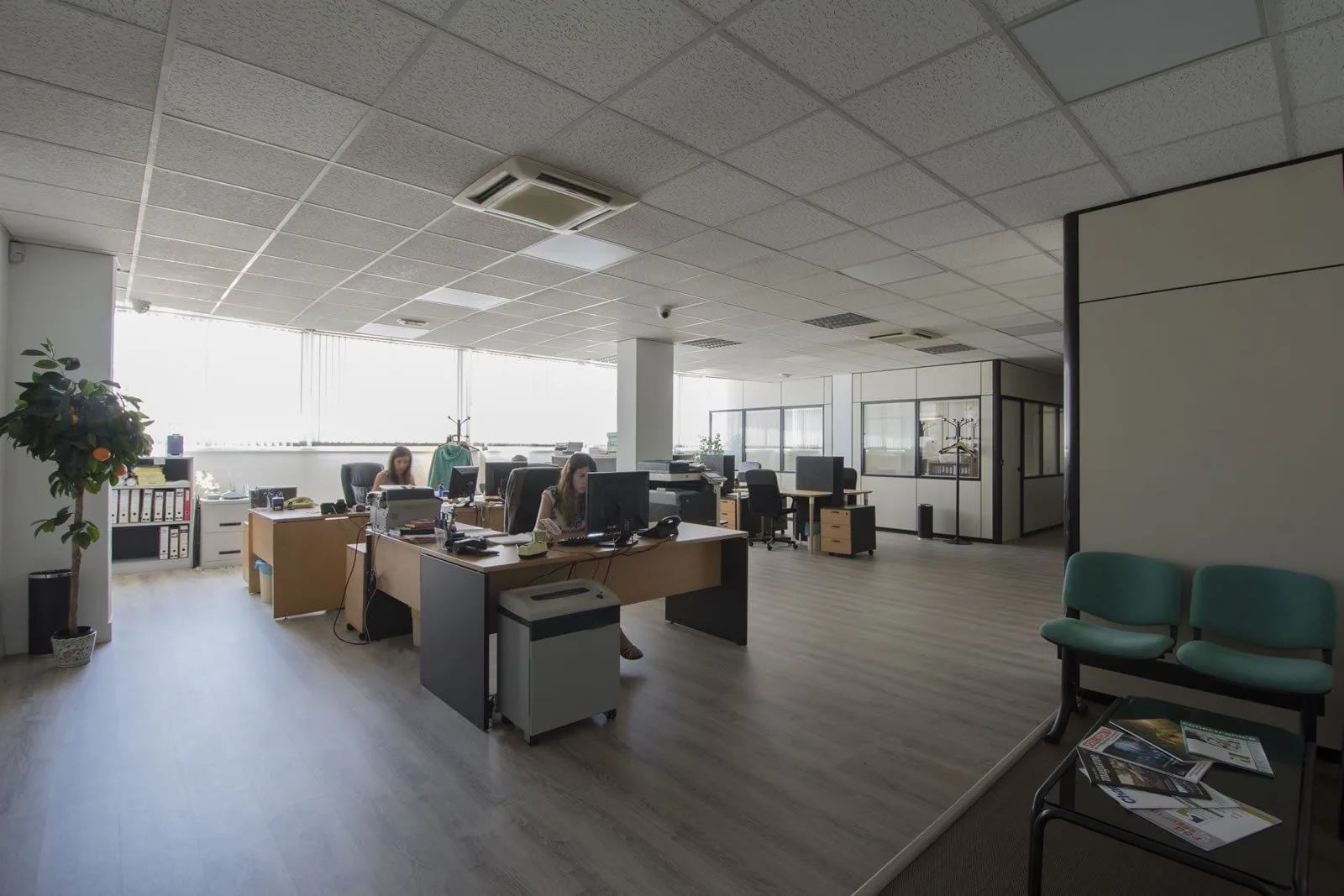 Ovislandia, Open space, Madrid