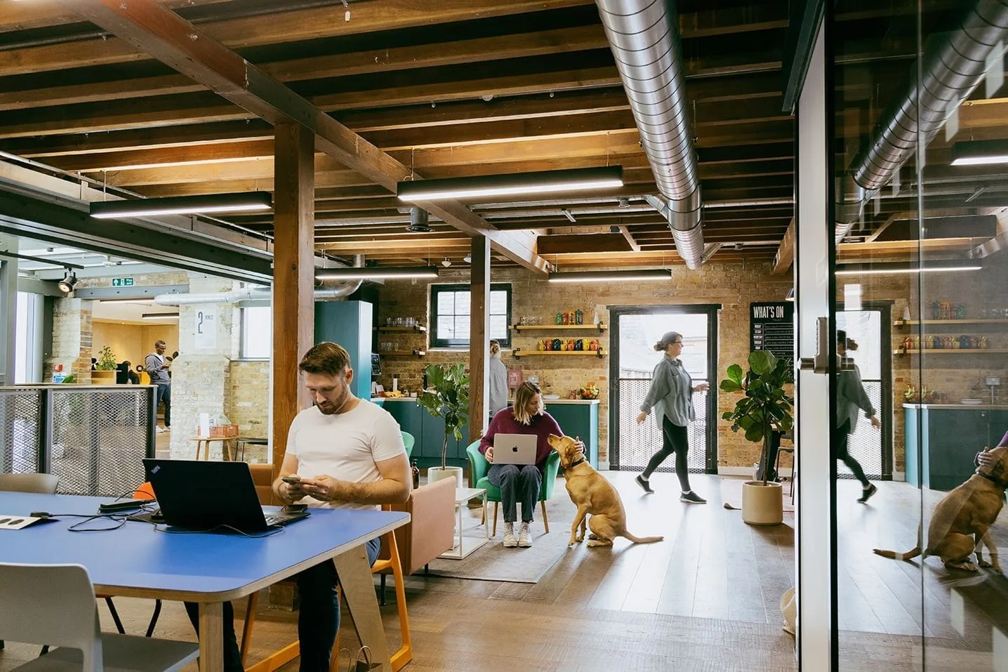 Patch Chelmsford, Coworking space, Chelmsford