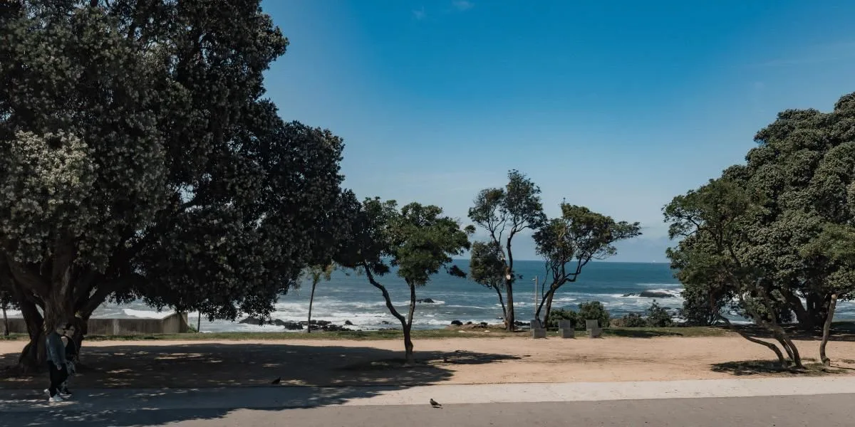 Porto i/o Seaside, Terrace and outdoor space, Matosinhos