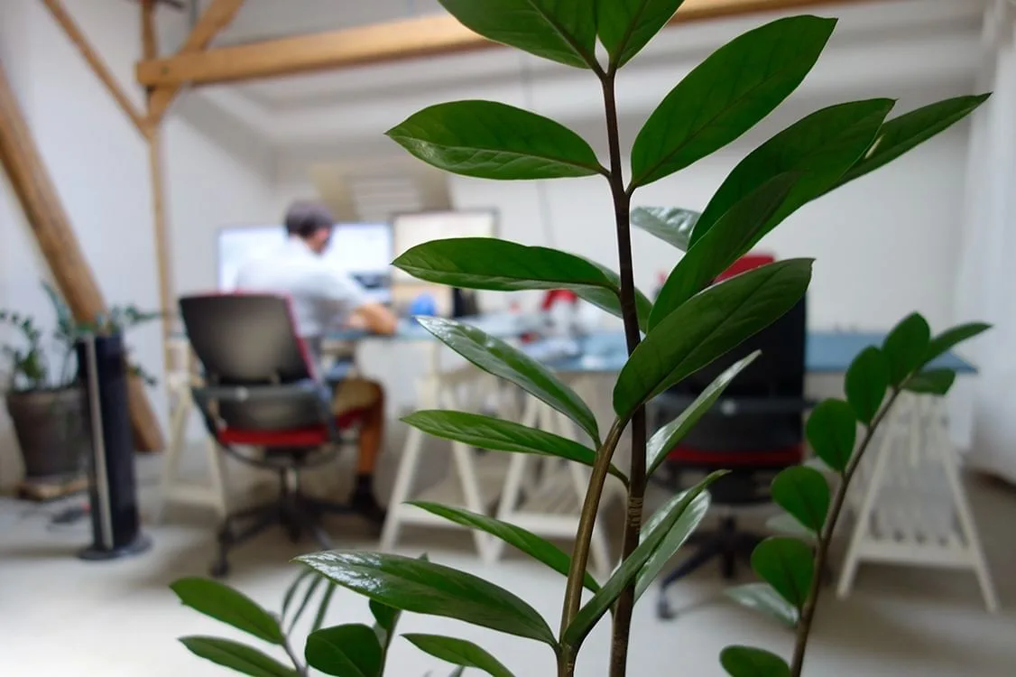 Raumstation Coworking Leipzig, Privatbüro mit 2 Arbeitsplätzen, Leipzig