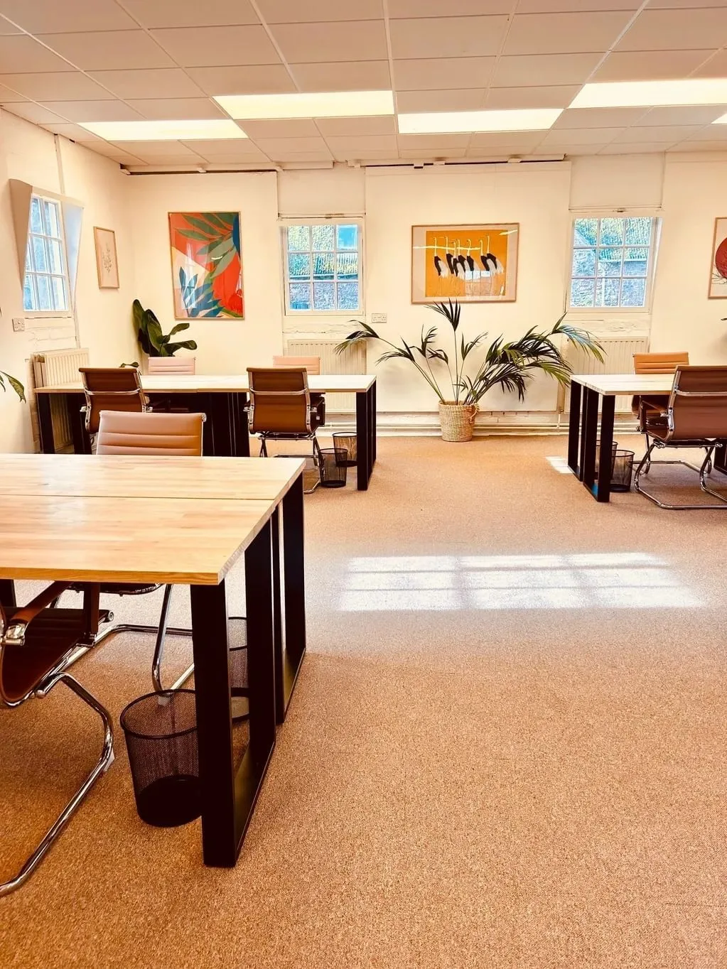 RegenWorks, Open-plan office, Totnes