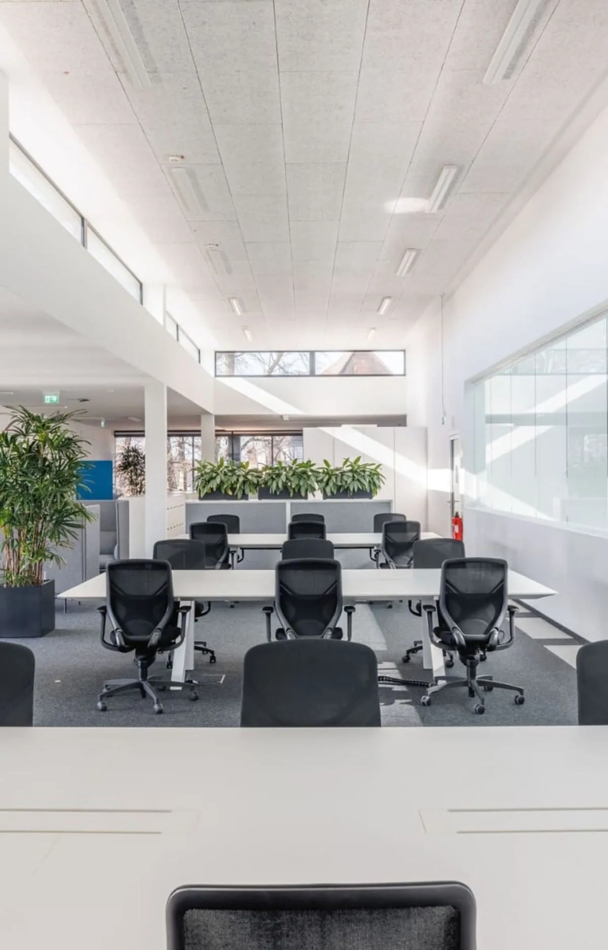 Ritz Coworking Space, Großraumbüro, Friedrichshafen