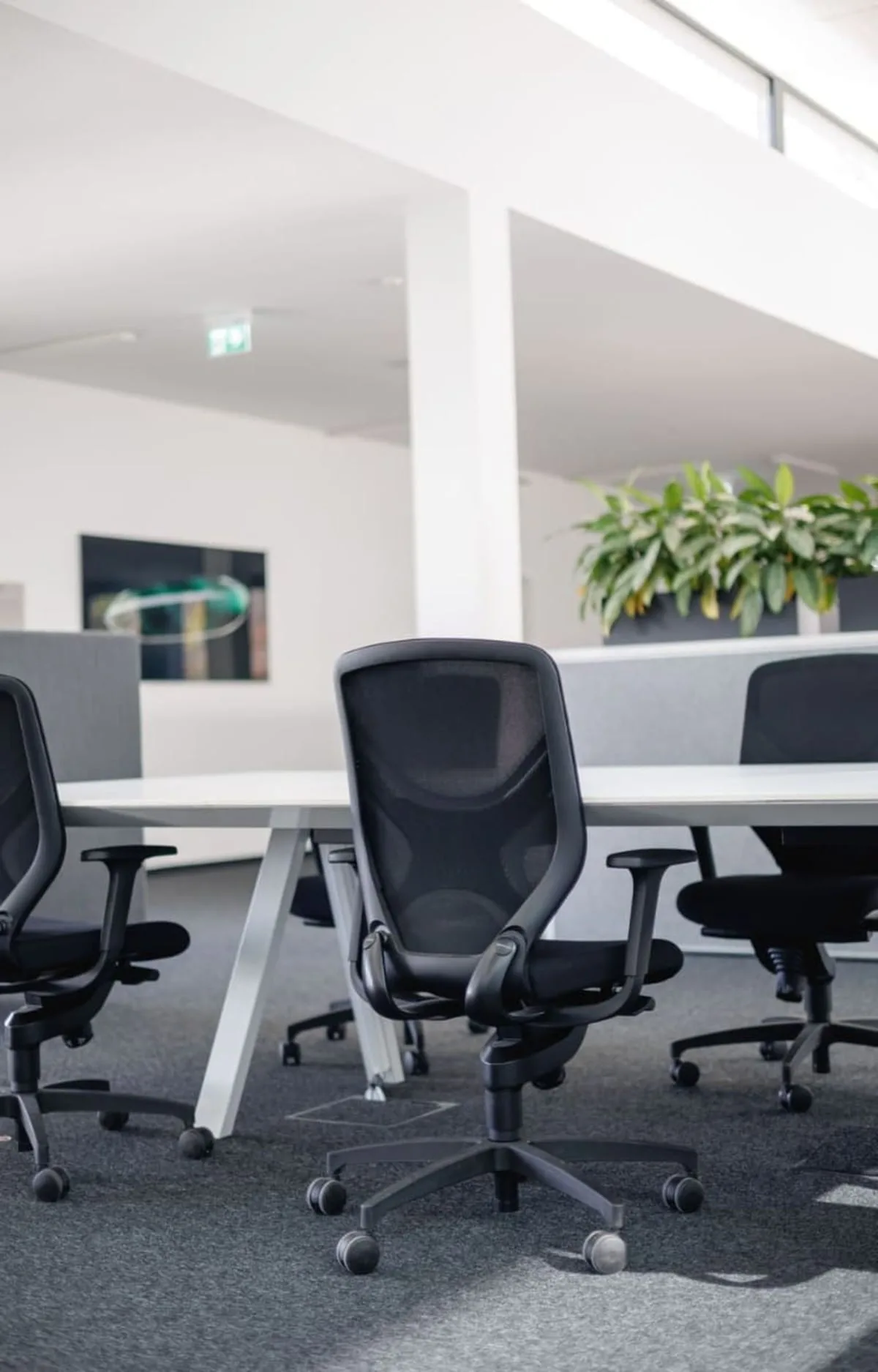 Ritz Coworking Space, Großraumbüro, Friedrichshafen