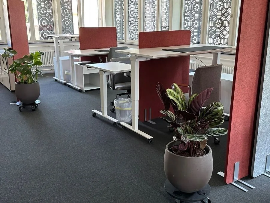 Rudow WORKSPACE, Open-plan office, Affoltern am Albis