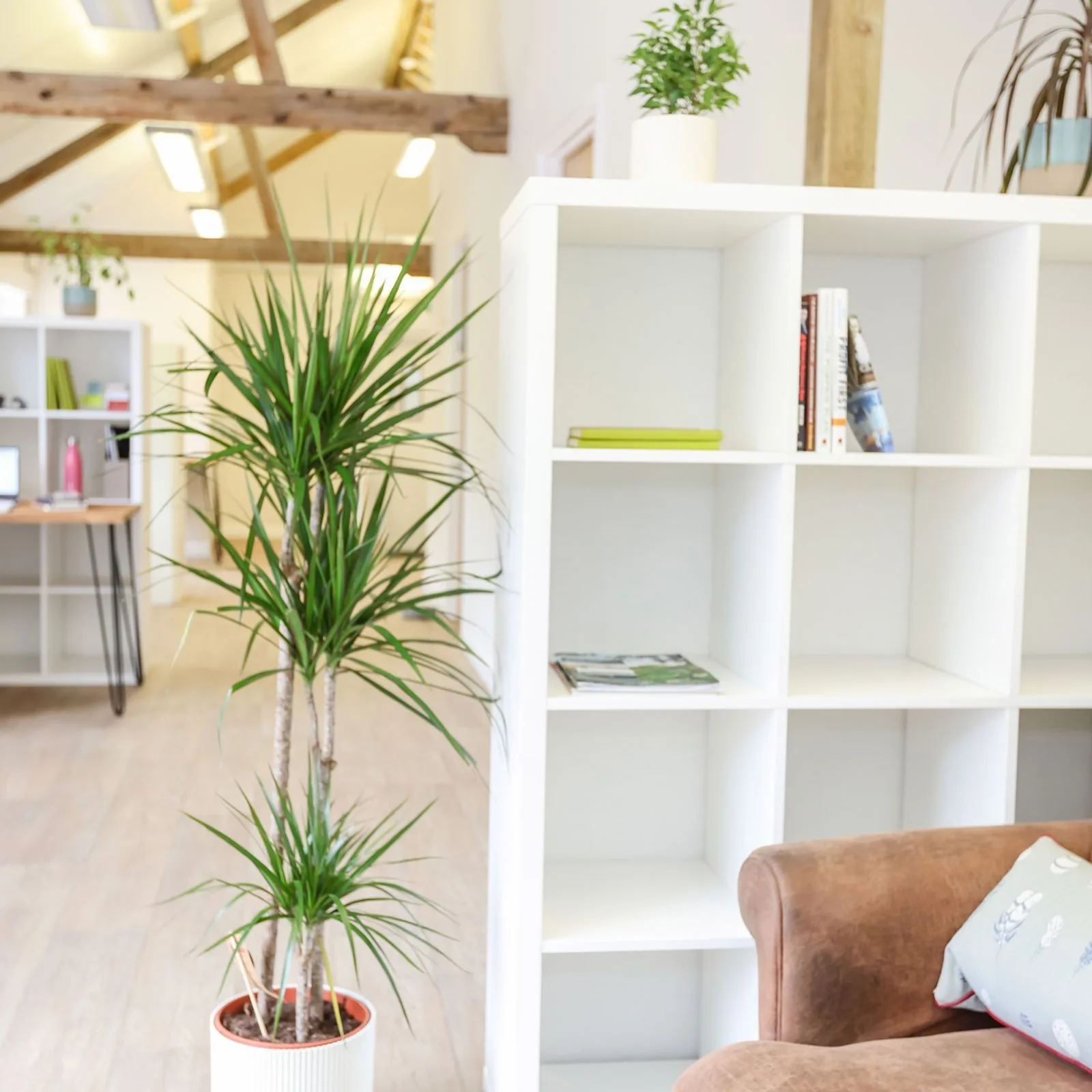 Rural Business Hub Alresford, Lounge, Alresford
