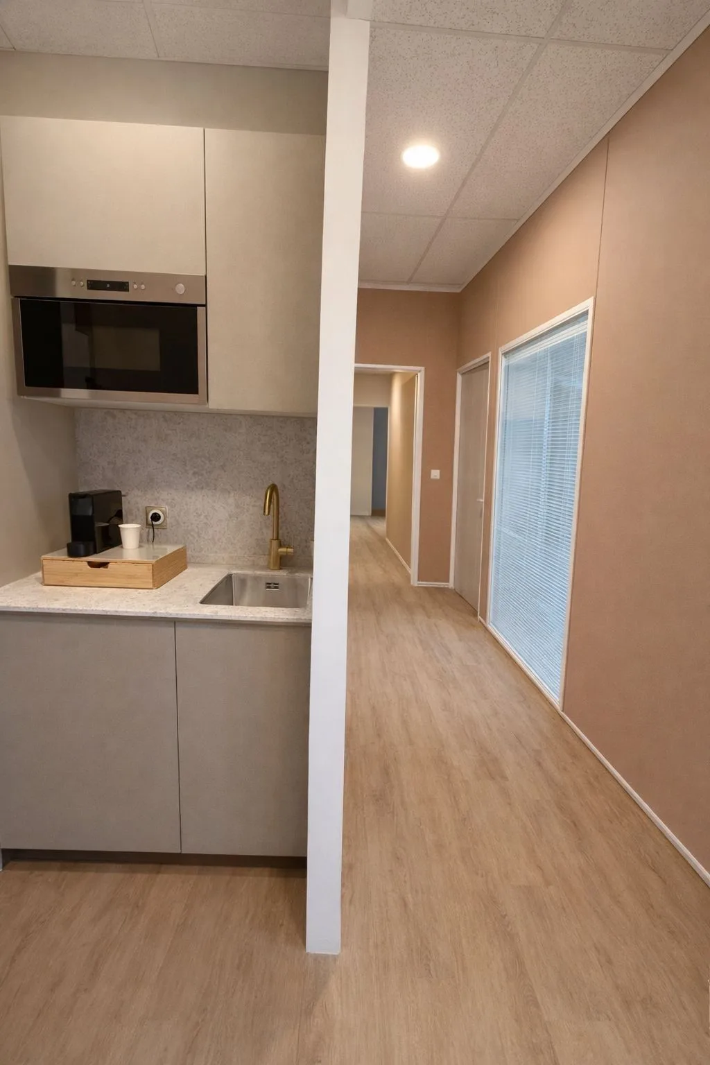 Salève immobilier, Küche, Archamps