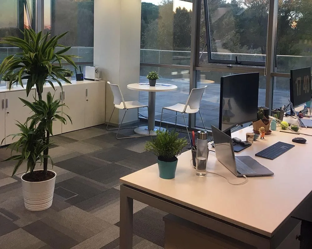 Sant Cugat Business Park, Espaço aberto, Sant Cugat del Vallès